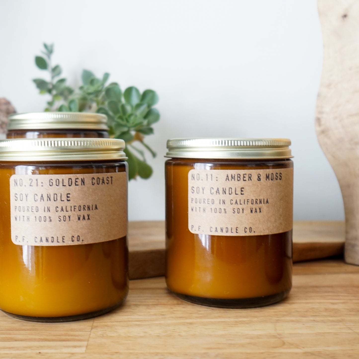 Amber and Moss Candle 7.2 oz - P.F. Candle Co.
